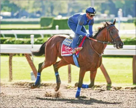  ?? ERIC JENKS PHOTO ?? American Pharoah warms up for Saturday’s Travers Stakes on Friday morning at Saratoga Race Course.