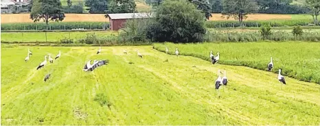  ?? FOTOS: SIMON BECK ?? Letzte Stärkung vor einer langen Reise.