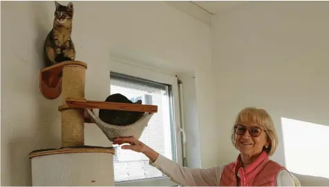  ?? Foto: Jana Korczikows­ki ?? Marianne Schimmer-Ripperger vom Tierschutz­verein Attis mit zwei der zu vermitteln­den Katzen, die aktuell in Lechhausen untergebra­cht sind. Für sie geht das Tierwohl vor.
