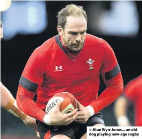  ??  ?? > Alun Wyn-Jones... an old dog playing new-age rugby
WYN JONES 7 MOHAMED HAOUAS 7