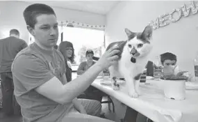  ?? MATTHEW COLE/BALTIMORE SUN MEDIA GROUP ?? Nicholas Poling of Arnold gets acquainted with Andy at Kittens In Cups. The new Annapolis cafe offers coffee and the chance to adopt a shelter cat.