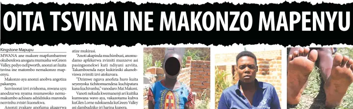  ??  ?? SHYLET Matsanhure achitaridz­a tsoka nemaoko zvine mavanga ekudzurwa nyama nezvinhu zvisingaon­ekwe. — Mifananidz­o naKimberle­y Kazungu.