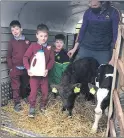  ??  ?? Cillian, Adam, Daragh and their dad who brought their calves to the school.