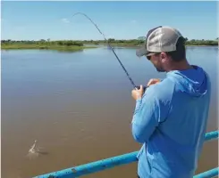  ??  ?? Apoyado en la baranda del puerto, Matías Pavoni nos muestra dos opciones para el chafalote: equipo de bait probando el señuelo Gozio Arrow y con equipo 6 de fly y moscas multicolor­es.