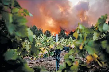  ?? SAMUEL CORUM/GETTY-AFP ?? Wildfire in California wine country: The Glass Fire burns behind Merus Wines vineyards in Napa Valley, California. Northern California’s wine country was on fire again Monday as strong winds fanned flames in the already scorched region, destroying homes and prompting overnight evacuation orders involving more than 50,000 people.