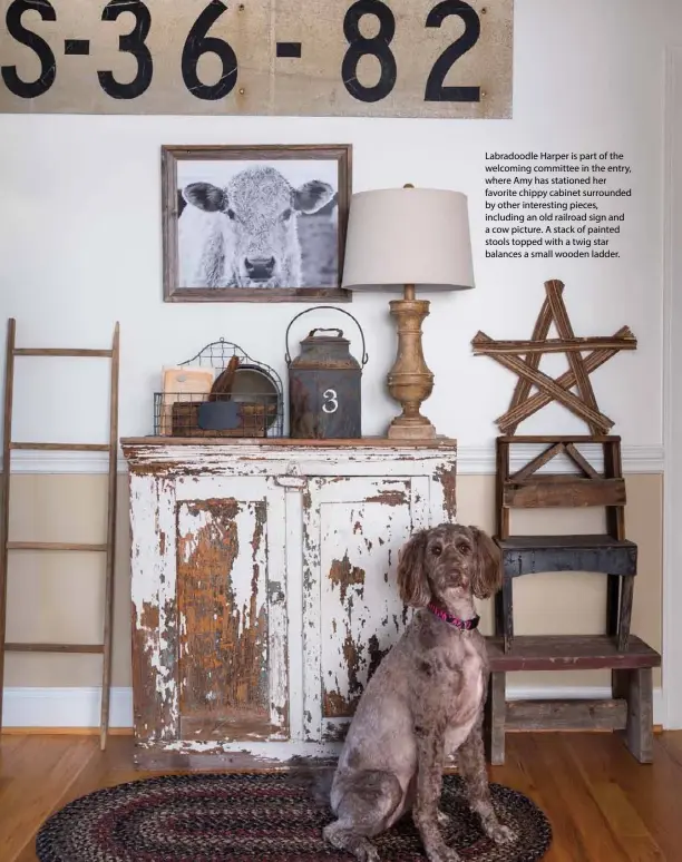  ??  ?? Labradoodl­e Harper is part of the welcoming committee in the entry, where Amy has stationed her favorite chippy cabinet surrounded by other interestin­g pieces, including an old railroad sign and a cow picture. A stack of painted stools topped with a twig star balances a small wooden ladder.