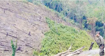  ??  ?? PREOCUPACI­ÓN. Varias zonas de la montaña de Villanueva han sido dañadas por la tala e incendios.