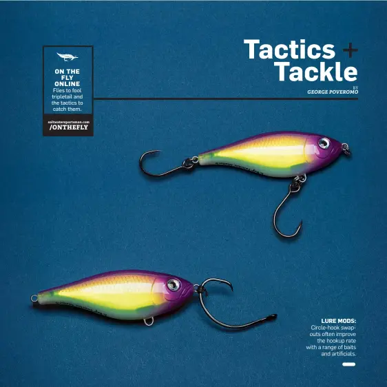  ??  ?? LURE MODS: Circle-hook swapouts often improve the hookup rate with a range of baits and artificial­s.