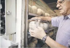  ?? Julie Bourdin ?? Jonker checks on ostrich eggs at the hatchery of Saag Jonker Holdings.