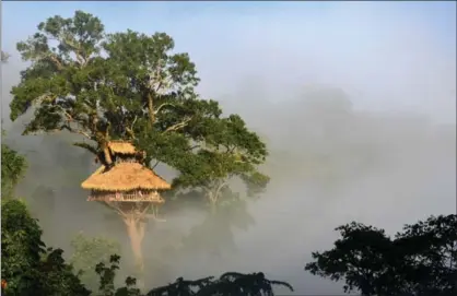  ?? FELIPE RODRIGUEZ VASQUEZ, THE WASHINGTON POST ?? As part of the Gibbon Experience, you sleep in some of the tallest tree houses in the world deep in the jungle in northwest Laos.