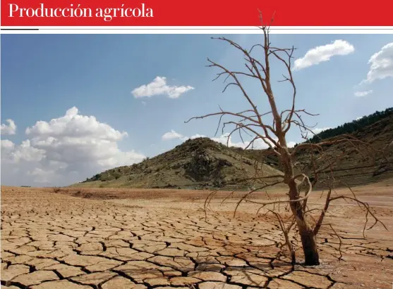  ?? ARCHIVO ?? El calentamie­nto y la falta de lluvias han provocado suelo desértico en el estado.