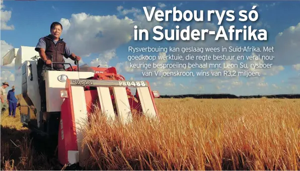  ??  ?? Mnr. Leon Su besig om rys met sy klein rysoesmasj­ien te stroop. ’n Gewone stroper met ’n koringtafe­l kan ook gebruik word.