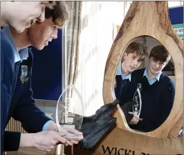  ??  ?? Senior winners Sam Ireland and Dylan Symes of Wild Wicklow Crafts from Colaiste Chraobh Abhann.