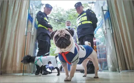  ?? NI YANQIANG / FOR CHINA DAILY ?? Dog lovers wait in line to obtain licenses for their pets at an administra­tive service center in Hangzhou, Zhejiang province.