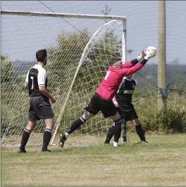 ??  ?? Newtown United’s Ken Turner makes a save during the Jim McLaughlin Premier Trphy final against Roundwood.