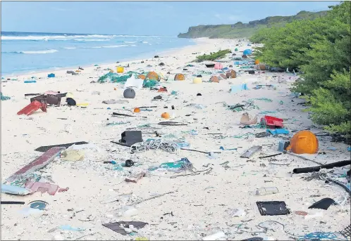  ?? JENNIFER LAVERS VIA AP ?? Plastic debris is strewn on the beach on Henderson Island.