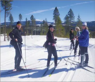  ?? J.P. SQUIRE/Special to The Okanagan Weekend ?? The new 1.2-kilometre Knoll Trail at the Kelowna Nordic Ski and Snowshoe Club provides a great view of Big White Ski Resort off in the distance.