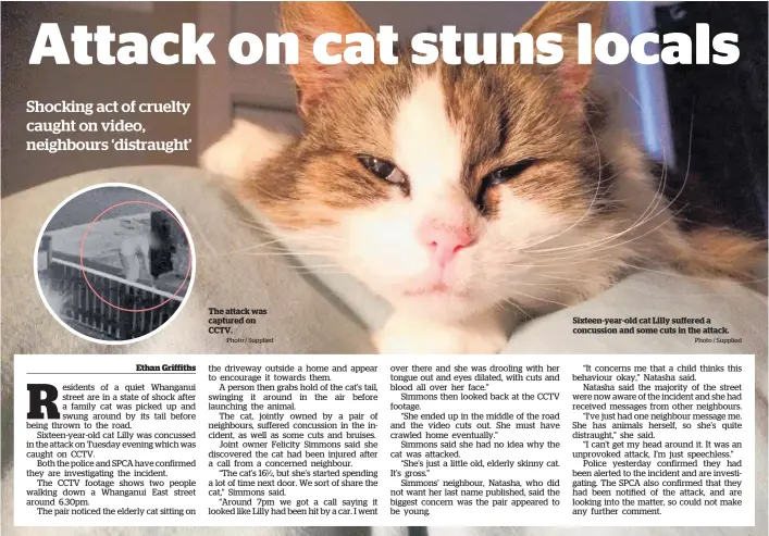  ?? Photo / Supplied
Photo / Supplied ?? The attack was captured on CCTV.
Sixteen-year-old cat Lilly suffered a concussion and some cuts in the attack.