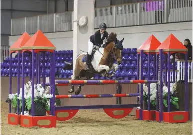  ??  ?? Suzie Two Coats and Alice Young, who’ll be out of ponies at the end of this year, earn RIHS qualificat­ion