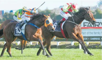  ?? Photo / Trish Dunell ?? Melody Belle (orange blinkers) got the better of Julius at Te Rapa on Saturday.