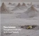  ??  ?? Tiny towers
The ghost crab city on Erissel beach