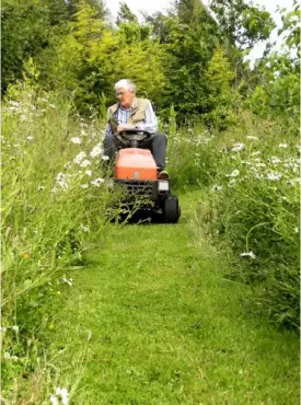  ??  ?? Roy uses a ride-on mower to keep the paths trim among tall clumps of wild flowers.