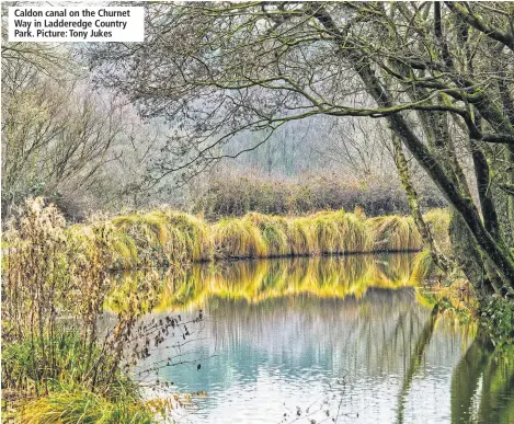  ??  ?? Caldon canal on the Churnet Way in Ladderedge Country Park. Picture: Tony Jukes