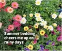  ??  ?? Summer bedding cheers me up on rainy days!