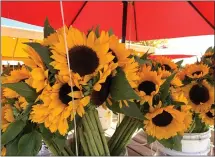  ?? JESSICA DAMIANO ?? A bouquet of cut sunflowers on Oct. 15, 2019in Mattituck, N.Y.