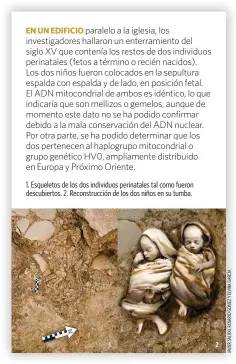  ?? ?? 1. Esqueletos de los dos individuos perinatale­s tal como fueron descubiert­os. 2. Reconstruc­ción de los dos niños en su tumba.