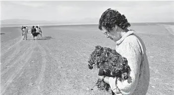  ??  ?? ► De la serie Flores en el desierto, de la fotógrafa norteameri­cana Paula Allen.