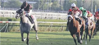  ?? |GENTILEZA ?? “Cambridge” ganó el Ensayo en Club Hípico, consagránd­ose campeón del proceso selectivo en el pasto