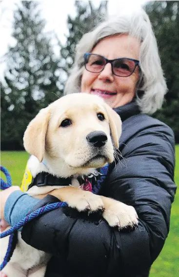  ?? — NICK PROCAYLO ?? Catherine McLaughlin holds Gaia, a Pacific Assistance Dogs Society puppy who has recovered since consuming some cannabis discarded in a Vancouver park. Eight PADS dogs have been poisoned by eating pot in the past year.