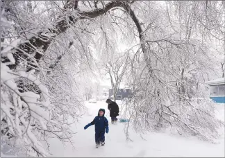  ?? Canadian Press photo ?? After getting to her son’s school to find it closed, Michaela Sharp with her son Lukas and their dog Duffy make their way home under a heavily laden tree along a Guelph Street sidewalk in Winnipeg, Monday after 10-30 centimetre­s of heavy wet snow...