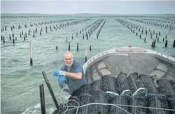  ??  ?? Wayne Wall sets out cages at an oyster farm in Coffin Bay, where growers fear drilling would hurt their livelihood­s.