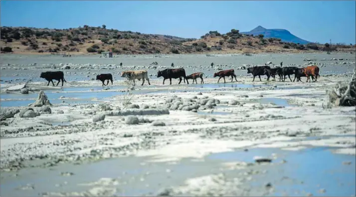  ?? Photo: Alet Pretorius ?? Slime city: Apart from the human cost of the tailings dam collapse, a once-pristine river environmen­t has been turned into a ‘horror show’.