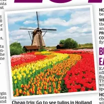  ?? Picture: SHUTTERSTO­CK ?? Cheap trip: Go to see tulips in Holland