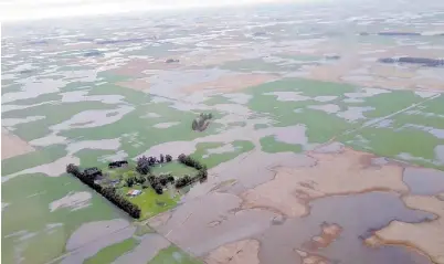  ??  ?? Diluvio. Por las intensas precipitac­iones, muchos campos de la provincia de Buenos Aires quedaron bajo el agua.