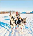  ?? ?? i
Mush! Go husky-sledding in Norway