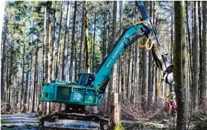  ??  ?? Der Königstige­r im Einsatz. Mit seinem Teleskopar­m kann er 15 Meter weit entfernte Bäume aus dem Altbestand heraushole­n. Sven Sparschuh kontrollie­rt dabei regelmäßig das Schneidege­rät seiner großen Vollerntem­aschine im Staatswald bei Bobingen.