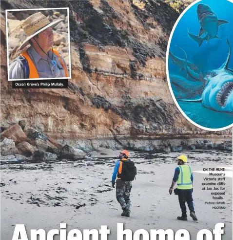  ?? Picture: DAVID HOCKING ?? Ocean Grove’s Philip Mullaly.
ON THE HUNT: Museums Victoria staff examine cliffs at Jan Juc for exposed fossils.