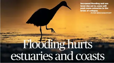  ?? PETER MEECHAM/STUFF ?? Increased flooding and sea level rise set to come will push some estuaries to the brink of collapse.