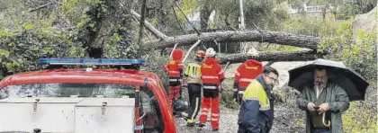  ?? ?? Los bomberos trabajan en la retirada de un pino de enormes dimensione­s en la barriada de Trassierra.