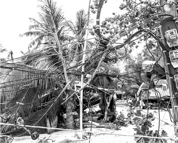  ??  ?? Fallen trees and electric poles are seen after tropical storm Pabuk hit the southern province of Nakhon Si Thammarat,Thailand. — Reuters photo