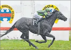  ?? Photo / Peter Rubery ?? Big Mike winning the Wairoa Cup (2100m).