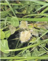 Plugging the knowledge gap - PressReader