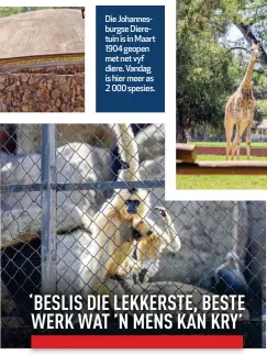  ?? ?? Die Johannesbu­rgse Dieretuin is in Maart 1904 geopen met net vyf diere. Vandag is hier meer as 2 000 spesies.
