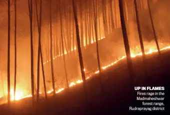  ??  ?? UP IN FLAMES Fires rage in the Madmaheshw­ar forest range, Rudrapraya­g district