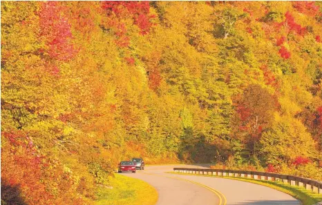  ?? FOTOS: STEPHAN BRÜNJES ?? Herbstlich­er Farbenraus­ch am Straßenran­d– am Blue Ridge Parkway entfaltet sich der Indian Summer in seiner ganzen Pracht.
