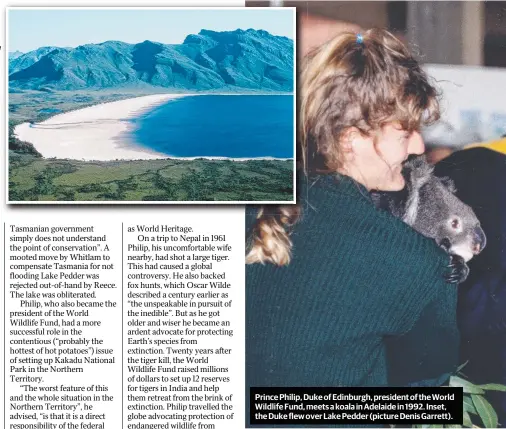  ??  ?? Prince Philip, Duke of Edinburgh, president of the World Wildlife Fund, meets a koala in Adelaide in 1992. Inset, the Duke flew over Lake Pedder (picture Denis Garrett).